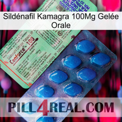 Sildénafil Kamagra 100Mg Gelée Orale new02
